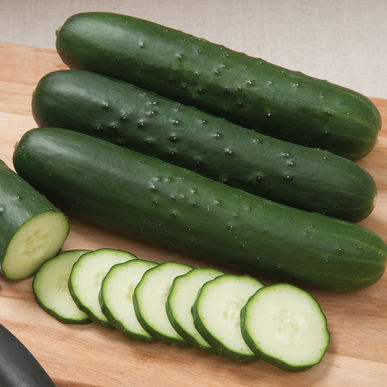 cucumber (not hotdog, sliced)